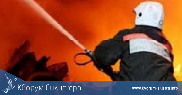 Заварка унищожи покрив, 350 бали фураж и 4 животни