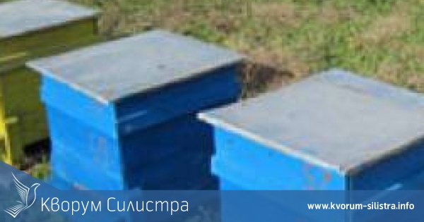 Откраднаха 8 кошера с пчелите до Пожарево