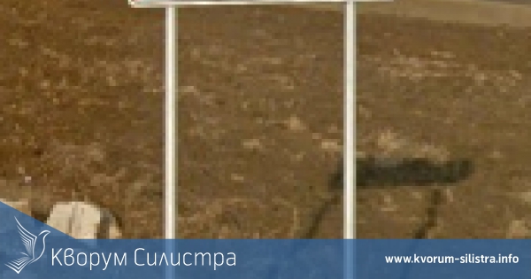 Силистренските пожарникари премахнаха паднал клон до Богорово