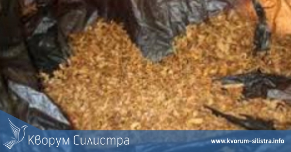 Откриха 7 килограма нарязан безакцизен тютюн в село Иширково