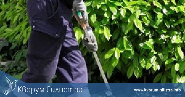 Пожарникари вадиха змия, пропълзяла в къща във Васил Левски