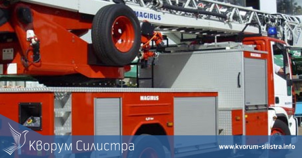 Отводнена къща и две котки, смъкнати от дърво , на сметката на силистренските пожарникари