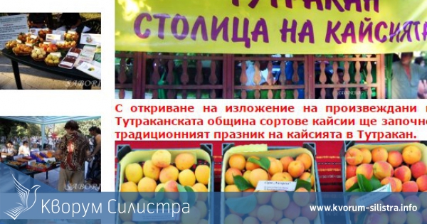 Тутракан става столица на кайсията за поредна година