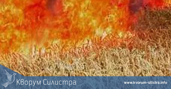 Петнайсет декара пшеница са изгорели край силистренското село Алеково