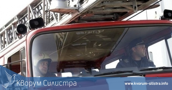 Спасиха 100 кошера с пчели до Кайнарджа