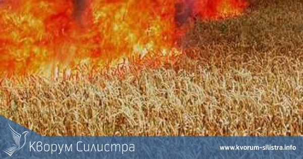 Пожар унищожи над 80 декара жито край Ситово