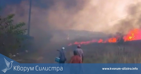 100 декара гора спасиха пожарникари и доброволци до Кайнарджа