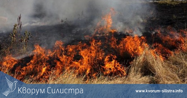 7 пожара в сухи треви гасиха силистренските пожарникари през почивните дни