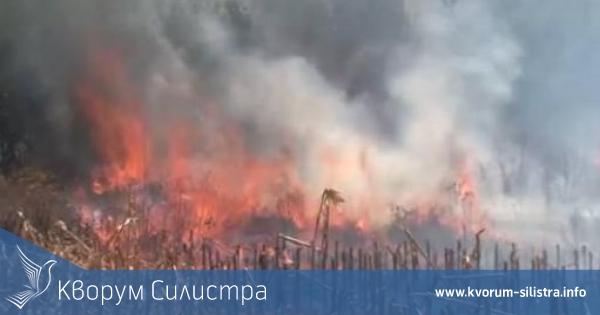 120 дка царевични ниви изгоряха в Тутраканско