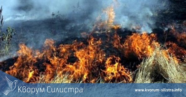 12 пожара горяха вчера в Силистренско