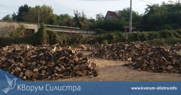 Силистренци чакат по месец, за да им доставят дърва за огрев