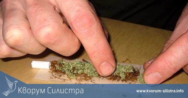 Заловиха тутраканец с еднократна доза канабис