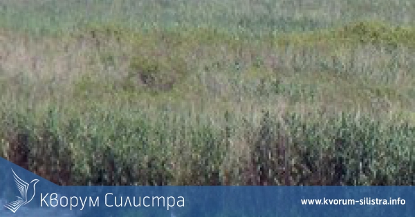 Пластмасова лодка е унищожена на лодкостоянка в резервата "Сребърна"