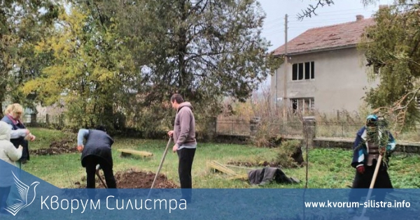Организацията на ГЕРБ в Ситово засади 30 дръвчета в общината