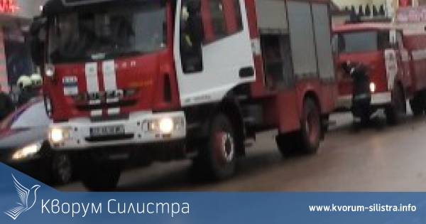 Погасен пожар в комин и контейнер за отпадъци, и спасено куче на сметката на силистренските огнеборци