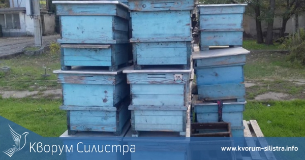 Съдят четирима, продали на силистренец 56 крадени пчелни кошера