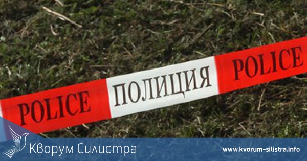 Полицията разследва убийство на каракачанска овчарка