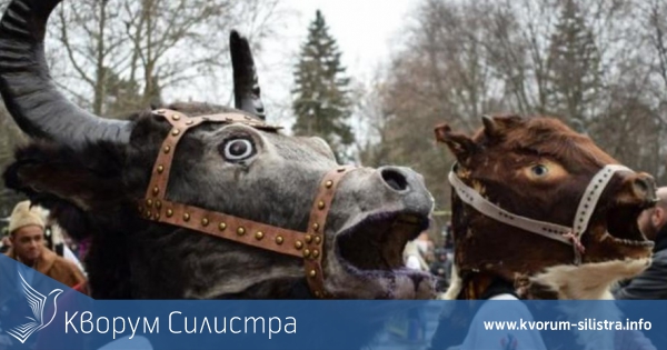 Автентични маски и кукерски ритуали на национален събор в село Варненци