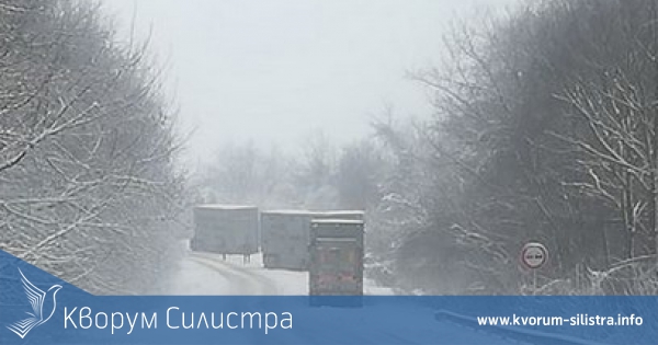 Проблемът с 4-те закъсали румънски тира с животни край Сребърна е вече решен