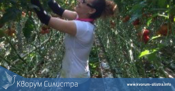 Проект "Общество за всички възрасти" в рамките на Програма Интеррег В-А Румъния България бе представен в Силистра