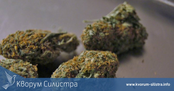 Арестуваха в Силистра ученик с 4.3 г канабис