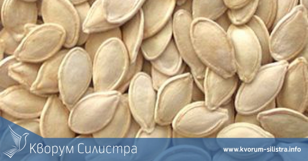 25 чувала тиквено семе изчезнаха в село Сокол