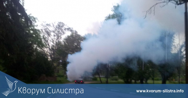 Пръскат наземно срещу комари в община Силистта на 12 и 13 май