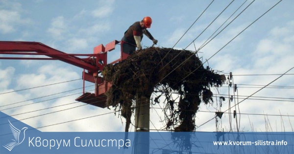 Щъркелово гнездо изгоря след късо съединение