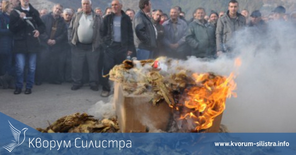 Тютюнопроизводители от четири общини на Силистренска област протестираха заради неполучени пари от предадена реколта