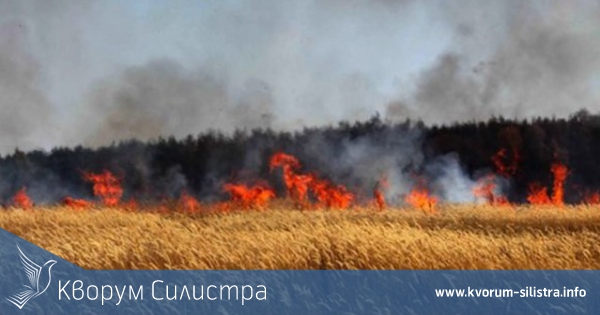 100 дка пшеница изгоряха до Пожарево, спасиха други 30 дка до Йорданово