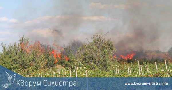 РДПБЗН-Силистра: През лятото се повишава рискът от горски пожари