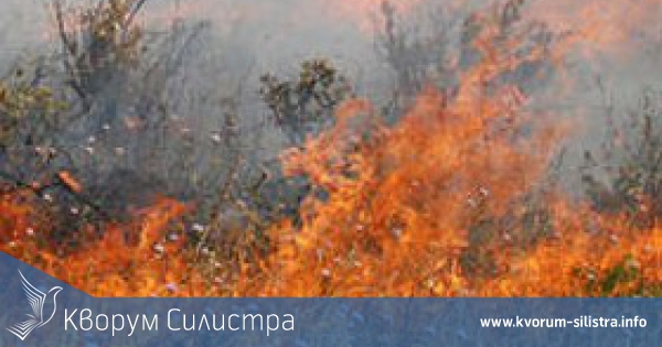 Пожари в стърнища и в сухи треви са гасени през почивните дни в Силистренско