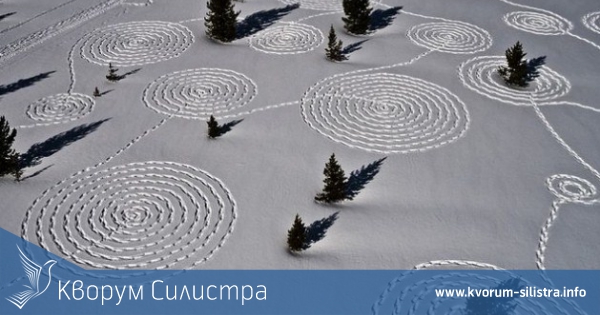 Природата като платно в Силистра