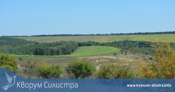 Установиха засят слънчоглед в защитена зона до село Брадвари