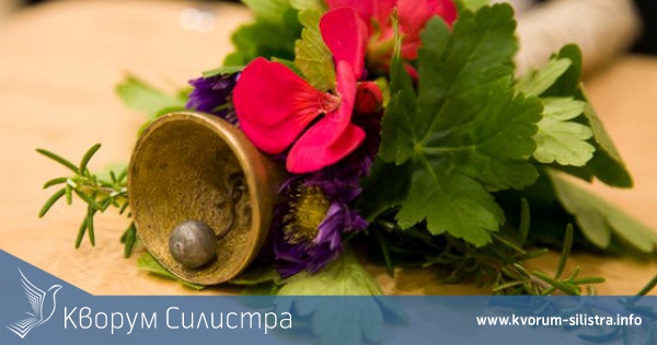 В област Силистра новата учебна година започва в 45 училища и в 24 детски градини