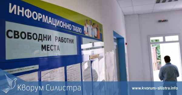 Близо 300 са постъпилите на работа безработни в областта през ноември