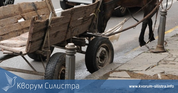 Затвориха незаконен пункт за вторични отпадъци в село Бабук