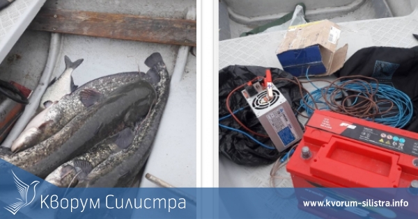 Заловиха в Тутракан любители на електрориболова