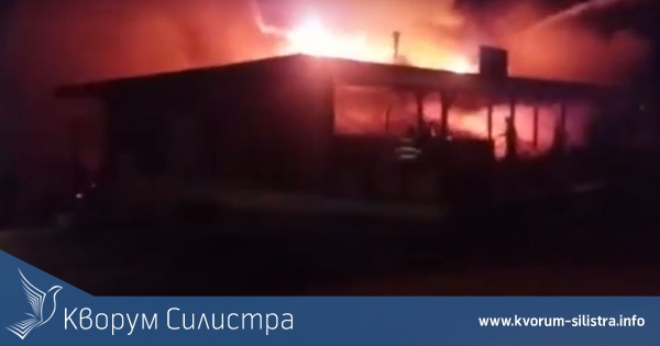 Горя свинекомплекса в село Попина, има загинали животни