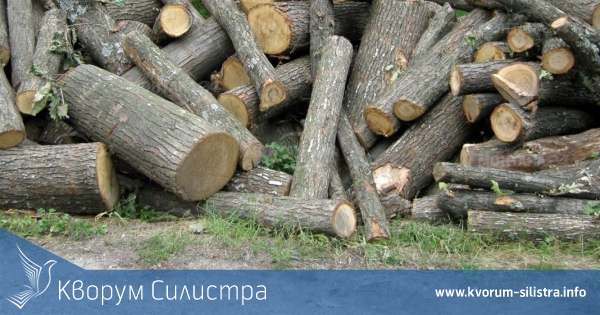 Акция в село Сребърна: Откриха над 47 кубика незаконно придобита дървесина