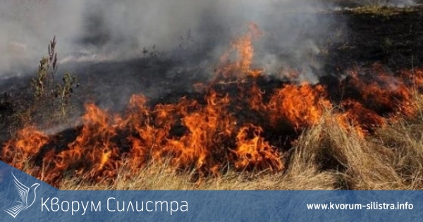 Сухи треви са горели в промишлената зона на Силистра вчера