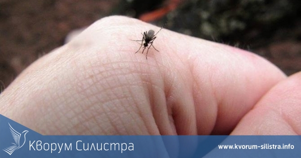 Заради продължаващите дъждове отлагат за пореден път пръскането срещу комари в Силистра