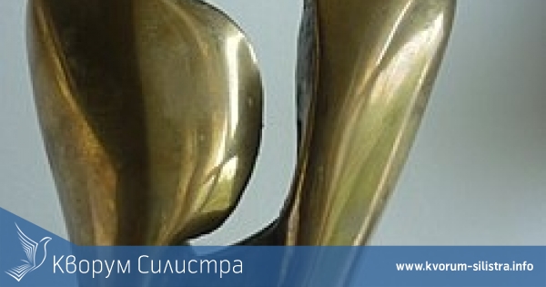 Силистренската библиотека с престижна награда за свой проект