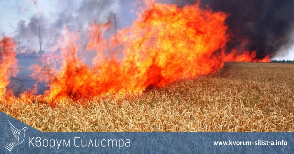 Мълния подпали пшеничен блок, горя лятна кухня и силния вятър направи поразии