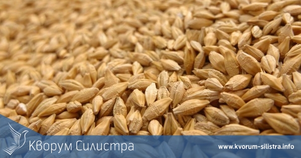 В три общини на Силистренска област приключи жътвата на пшеницата