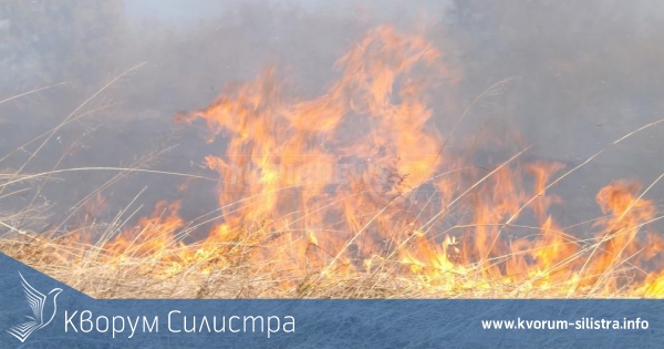 Два пожара в сухи треви и един в сметище са горели вчера в Силистренско