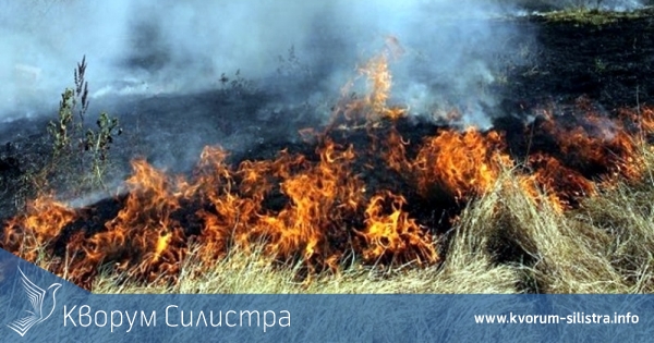 Три стопански постройки и сухи треви горяха през почивните дни в Силистренско