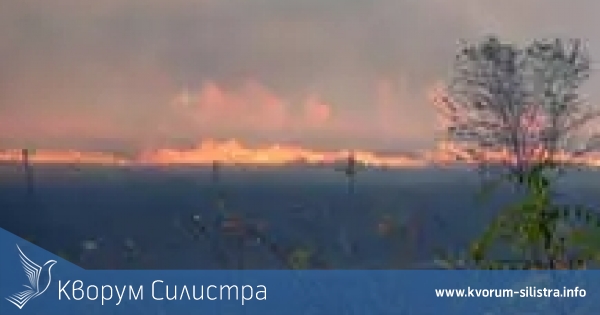 Пожар изпепели 50 декара резене до Цар Самуил