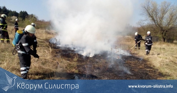 Горяха 20 декара гора до Ястребна и бус в Силистра