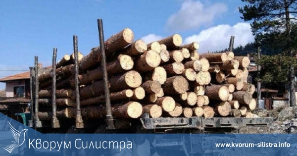 Заловиха камион с крадена дървесина до силистренското село Йорданово